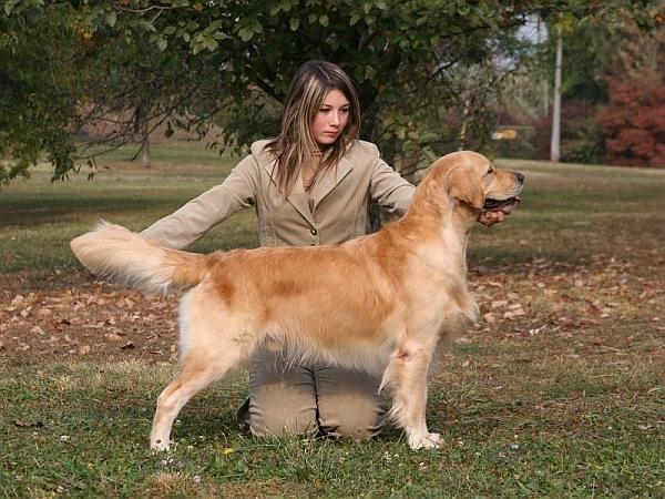 handling (66).jpg